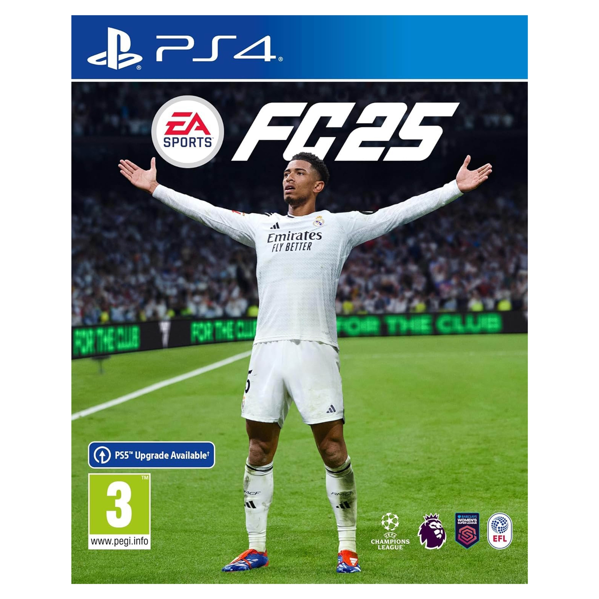 Video Game - PS4 | FC25