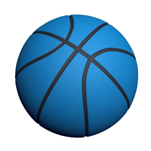 Ball Basketball LTR Blue